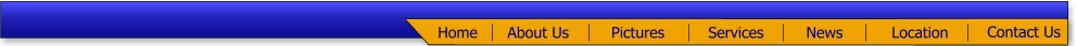 Footer